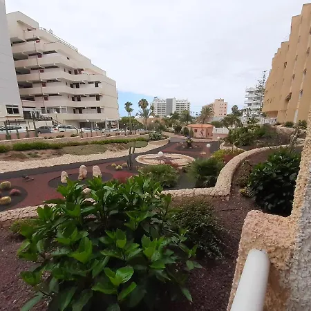 Dream Holiday Las Americas *