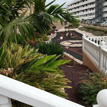 Dream Holiday Las Americas Apartment *